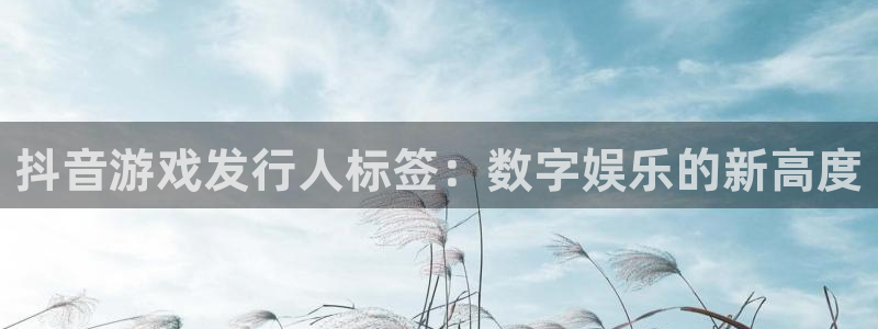 门徒娱乐平台违法吗：抖音游戏发行人标签：数字娱乐的新高度