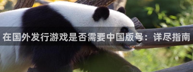 门徒娱乐充值能正常提现吗：在国外发行游戏是否需要中国版号：详尽指南