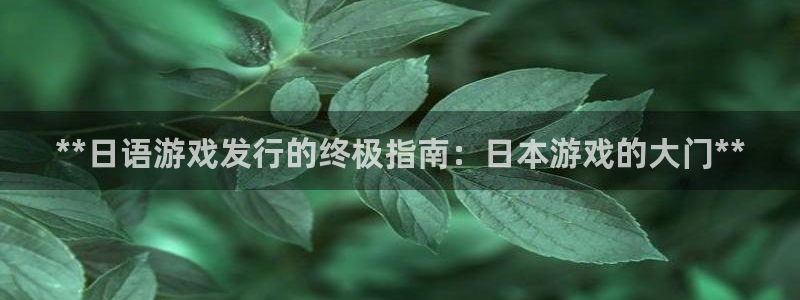 门徒娱乐注册平台：**日语游戏发行的终极指南：日本游戏的大门**