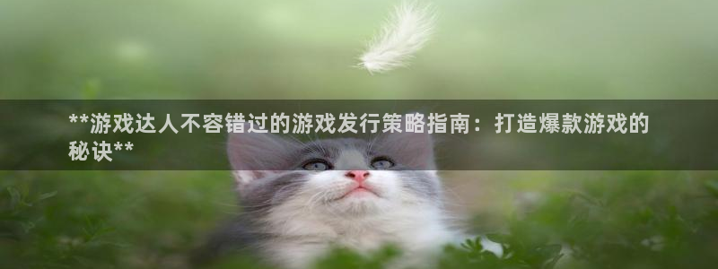门徒娱乐充值能正常提现吗：**游戏达人不容错过的游戏发行策略指南：打造爆款游戏的
秘诀**