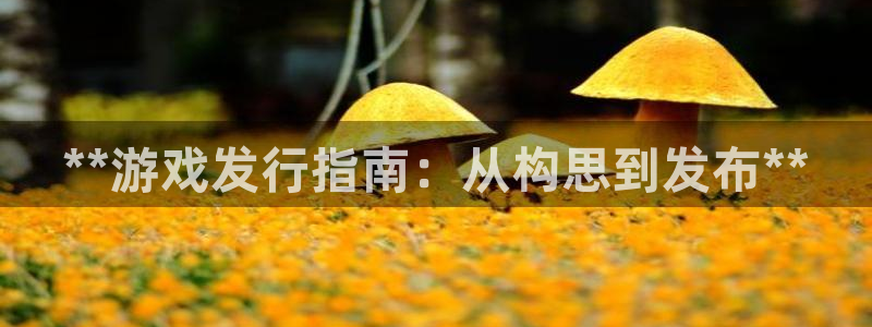 门徒平台官网首页：**游戏发行指南：从构思到发布**