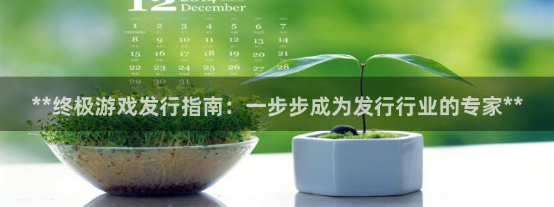 门徒平台招商：**终极游戏发行指南：一步步成为发行行业的专家**