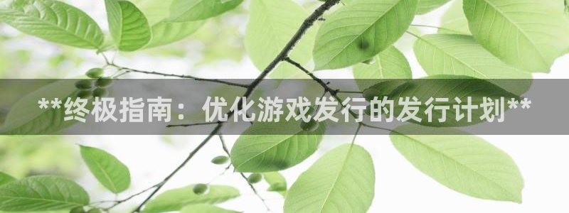 门徒平台官网注册入口：**终极指南：优化游戏发行的发行计划**