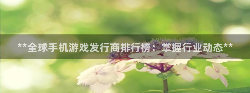 门徒娱乐会不会突然倒闭：**全球手机游戏发行商排行榜：掌握行业动态**