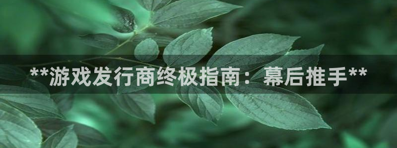 门徒平台注册登陆失败怎么回事：**游戏发行商终极指南：幕后推手**