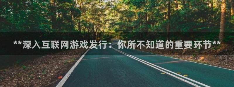 门徒娱乐登录地址在哪：**深入互联网游戏发行：你所不知道的重要环节**