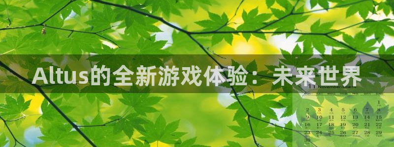 门徒平台代理怎么做