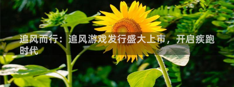 门徒娱乐平台代理怎么做到的呢