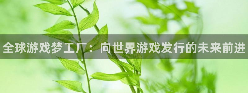 门徒平台开户条件：全球游戏梦工厂：向世界游戏发行的未来前进