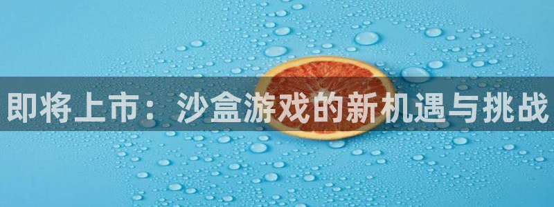 门徒娱乐注册下载安卓：即将上市：沙盒游戏的新机遇与挑战