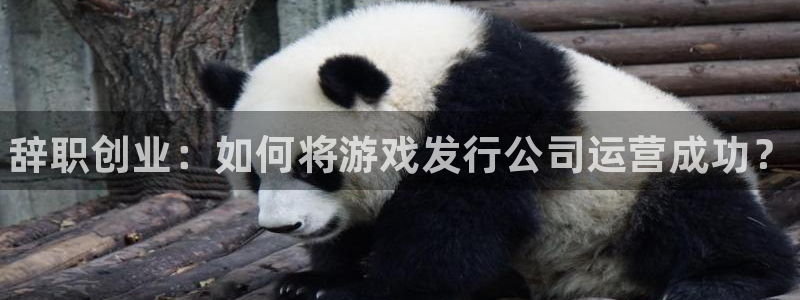 门徒平台上级：辞职创业：如何将游戏发行公司运营成功？
