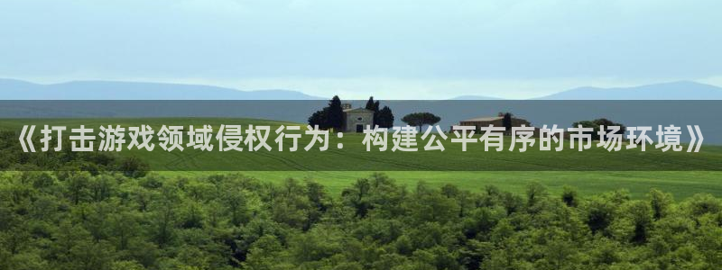 门徒娱乐平台：《打击游戏领域侵权行为：构建公平有序的市场环境》