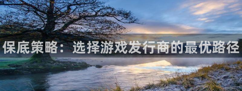 门徒娱乐多长时间了：保底策略：选择游戏发行商的最优路径