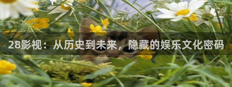 三米影视电视剧免费观看：28影视：从历史到未来，隐藏的娱乐文化密码
