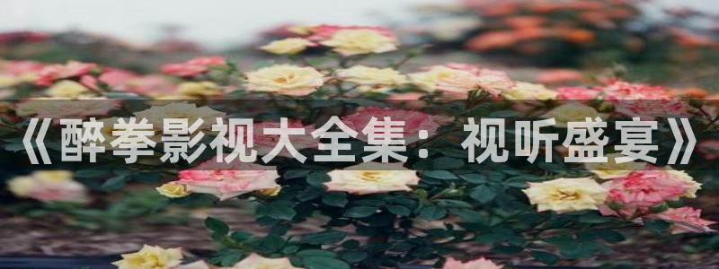 三米影视最新电视剧在线观看：《醉拳影视大全集：视听盛宴》