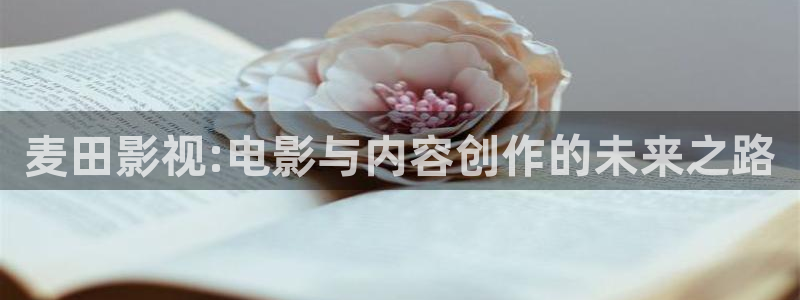 三米影视：麦田影视:电影与内容创作的未来之路