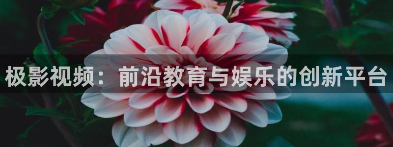 周末同床三米影视高清快播：极影视频：前沿教育与娱乐的创新平台