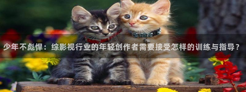 三米影视最新电视剧在线观看：少年不彪悍：综影视行业的年轻创作者需要接受怎样的训练与指导？