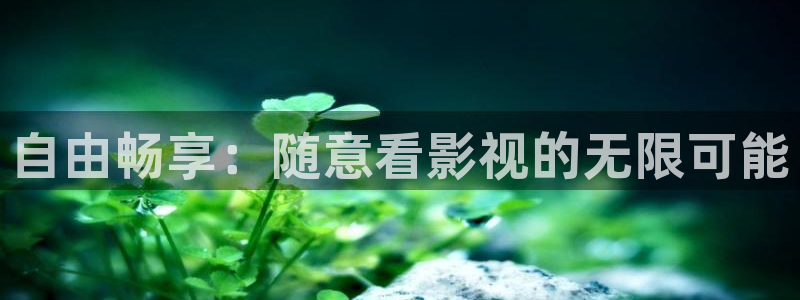 三米影视下载安卓：自由畅享：随意看影视的无限可能